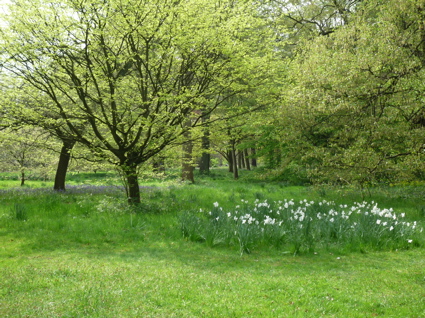 18 April Kew 5.jpg